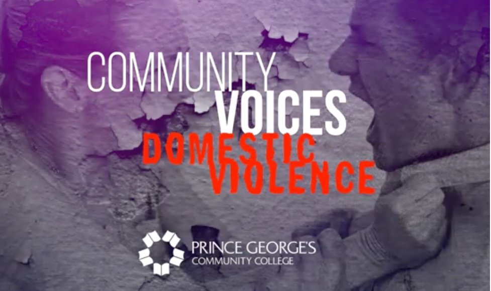 Community Voices: Domestic Violence Awareness - Cover