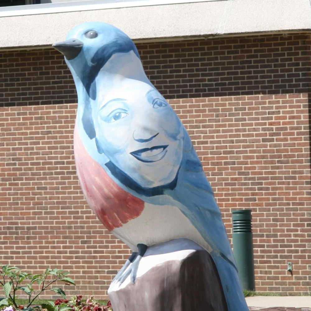 Bluebird 2009