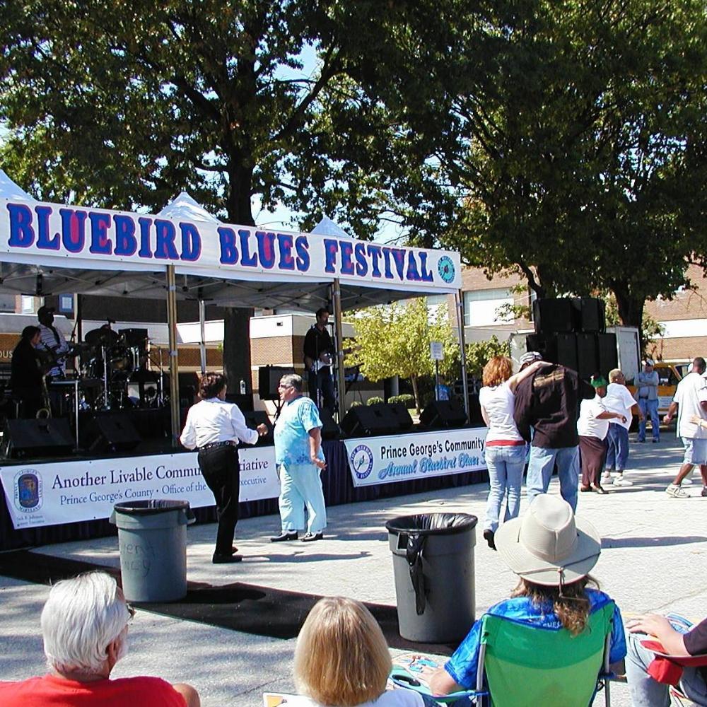 Bluebird Stage 2007