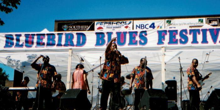 The Hardaway Connection performing live at the Bluebird Blues Festival.