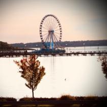 Larry Young, Jr. - Beauty of National Harbor