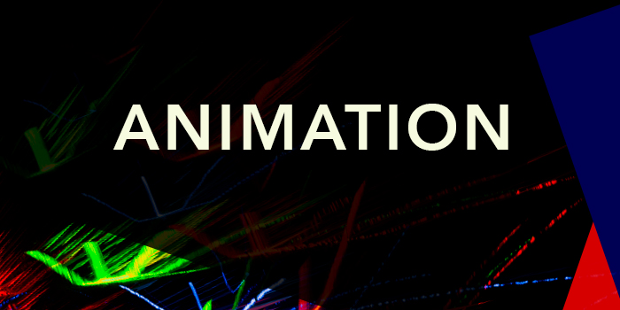 Animation Slide