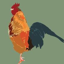 Donaisha Booker - C Alphabet Chicken Bird